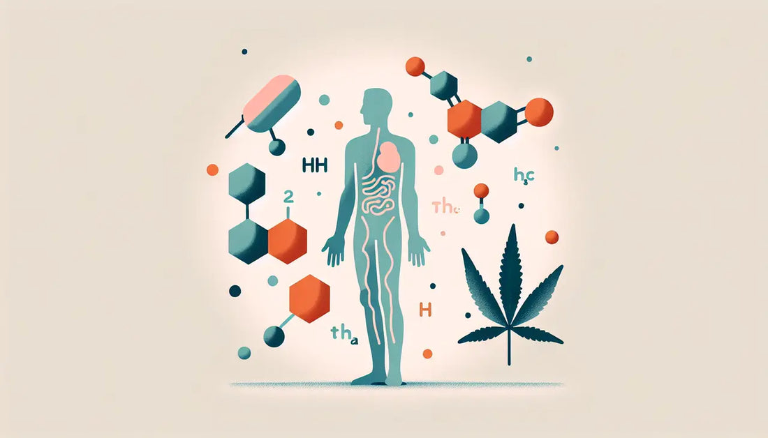 How Does THC-A Affect the Body?