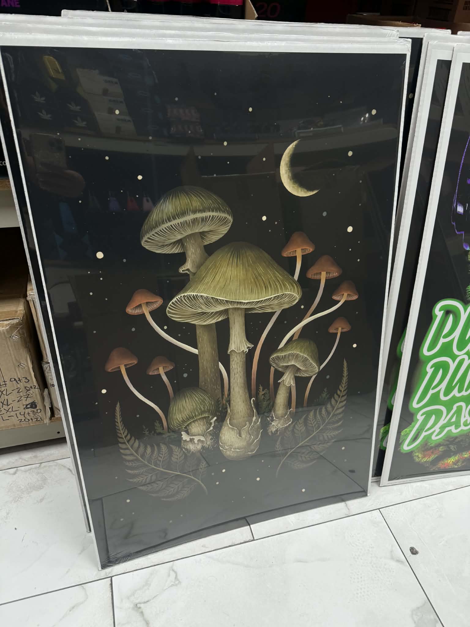 POSTERS WITH CARDBOARD BACK