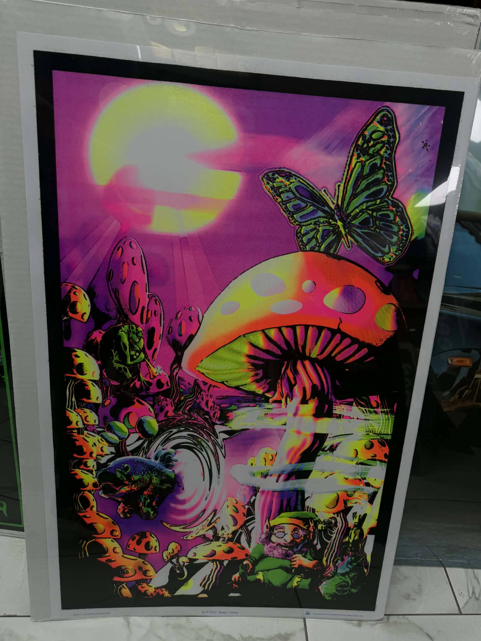 POSTERS WITH CARDBOARD BACK