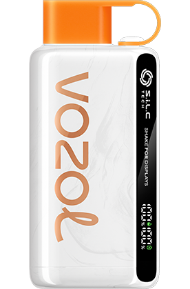 VOZOL STAR 9000 DISPOSABLE VAPE | 5% NICOTINE | 5 COUNT BOX