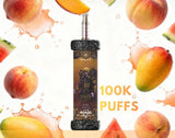 OLIT HOOKAH PLUS 100K PUFFS DISPOSABLE | (TEXASSB2024COMPLIANT)