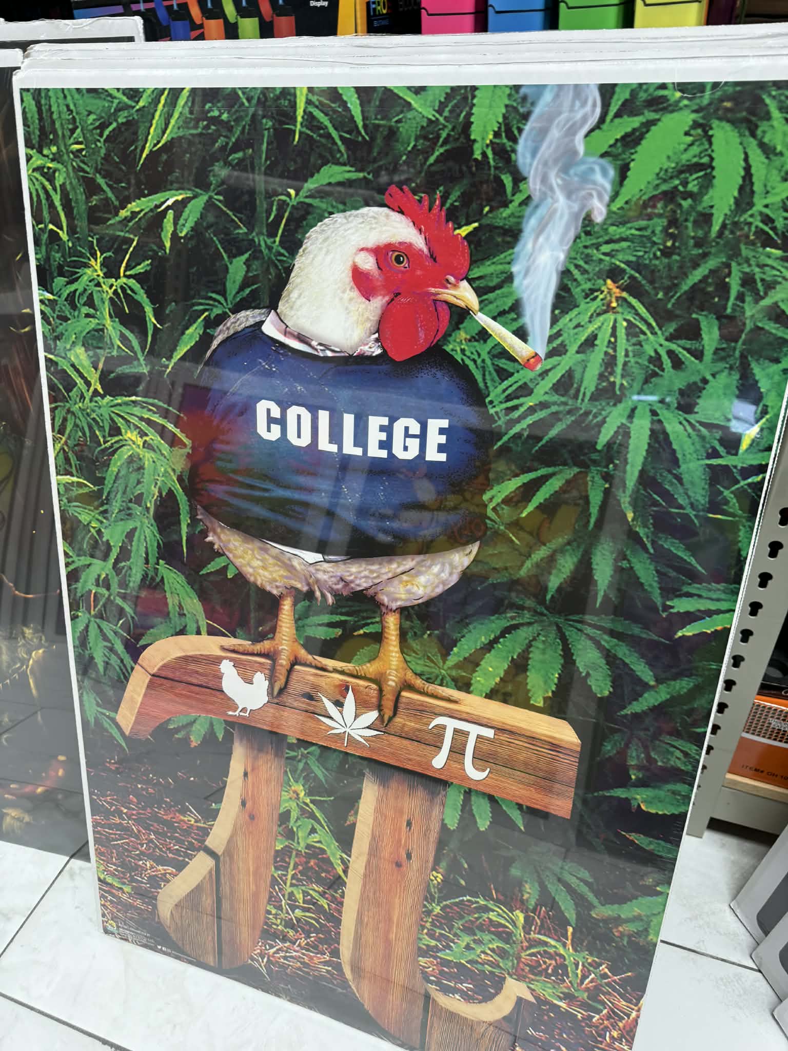 POSTERS WITH CARDBOARD BACK