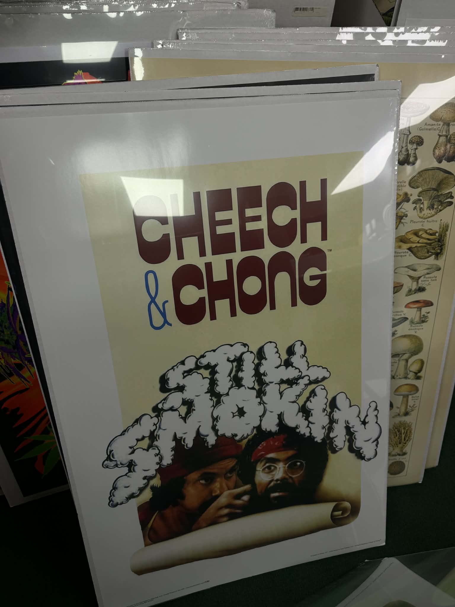 POSTERS WITH CARDBOARD BACK