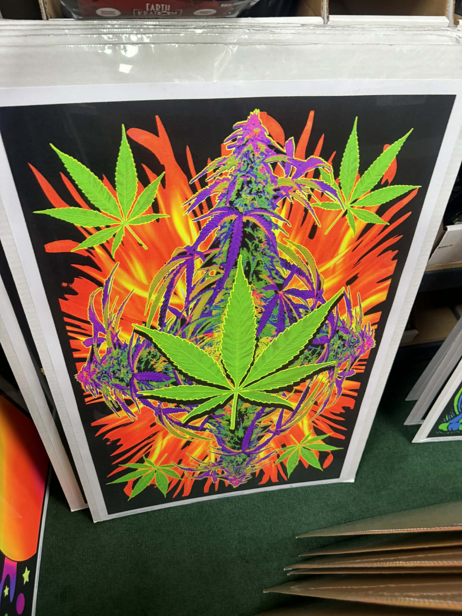 POSTERS WITH CARDBOARD BACK