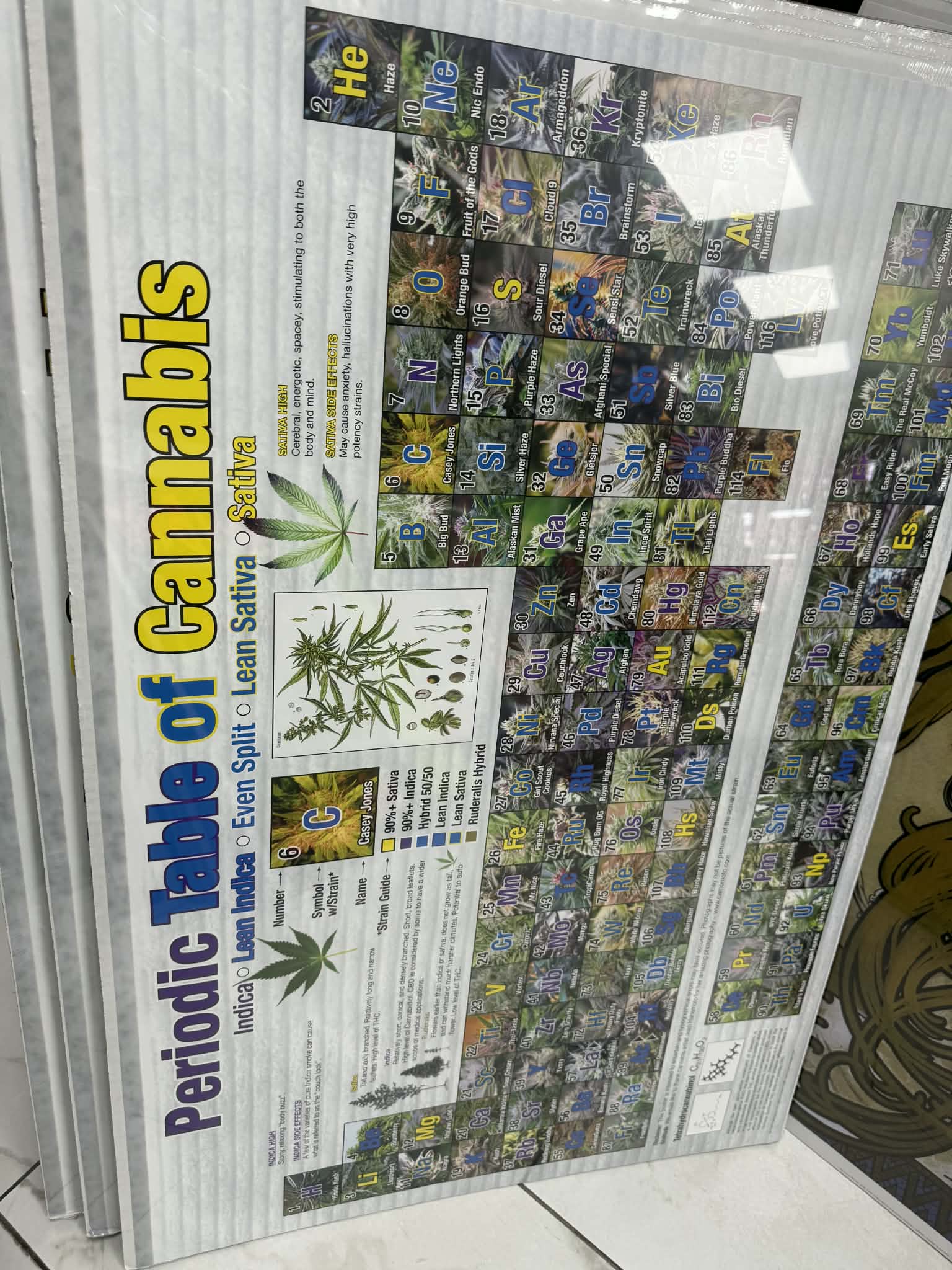 POSTERS WITH CARDBOARD BACK